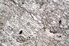 peridotite2017(duria)(46).jpg