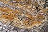 peridotite2017(duria)(5).jpg