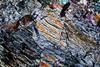 peridotite2017(duria)(50).jpg