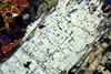 peridotiteantofillite0153(11).jpg