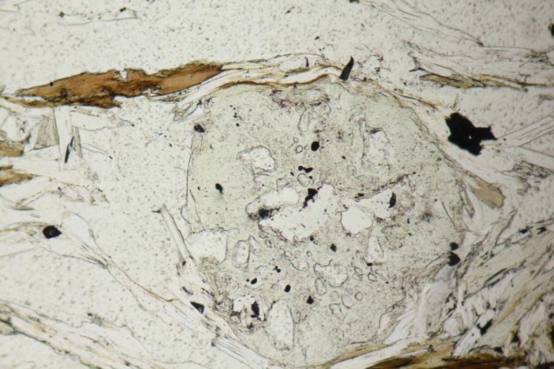 scistooagraanati(2).jpg