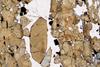 tormalinite0071(19).jpg
