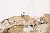 tormalinite0071(25).jpg