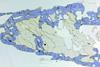 yoderite(63).jpg