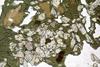 amphiboles2020(27).jpg