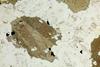 amphiboles2020(38).jpg