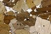 amphiboles2020(47).jpg