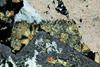 clorite0584(21).jpg