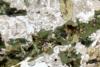 diorite(6).jpg
