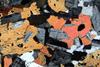 diorite2016(4).jpg
