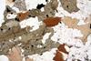 diorite2016(5).jpg