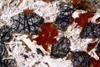 kentellanite(15).jpg