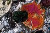 kentellanite(45).jpg