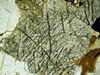 lacinieclinopirosseni.jpg