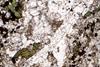 melteigite(32).jpg
