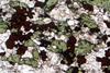melteigite(49).jpg