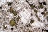 melteigite(6).jpg