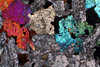 monzonite(monzoni)(13).jpg