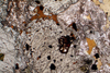 monzonite(monzoni)(16).jpg