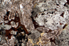 monzonite(monzoni)(18).jpg