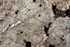 monzonite(monzoni)(7).jpg