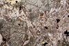 monzonite(monzoni)(9).jpg