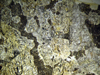ortocumilite(43).jpg