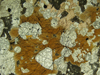 ortocumilite(47).jpg