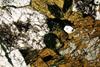 urtite(10).jpg
