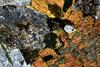 urtite(11).jpg