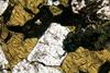 urtite(12).jpg