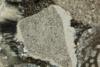 packestonebioclastico(2).jpg
