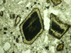 anfibolovulc(10).jpg
