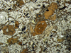 anfibolovulc(17).jpg