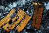 bbiotite.jpg