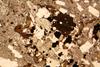 glomerophyre(1).jpg