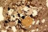 glomerophyre(2).jpg