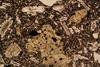 glomerophyre(9).jpg