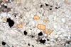 sokli(16).jpg