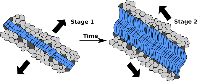 antitaxial.png