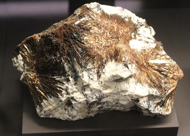 astrophyllite1.jpg