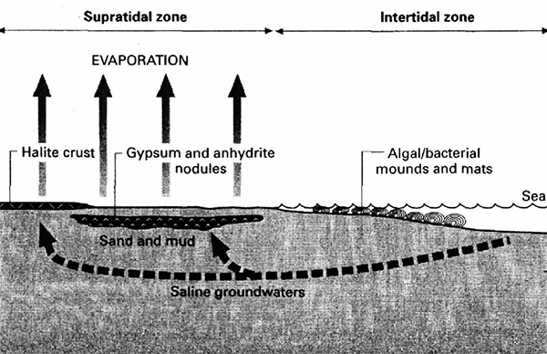 evaporiti(4).jpg