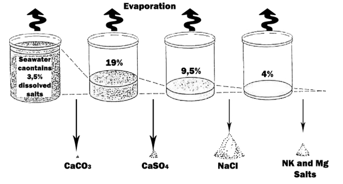 evaporiti(7).jpg