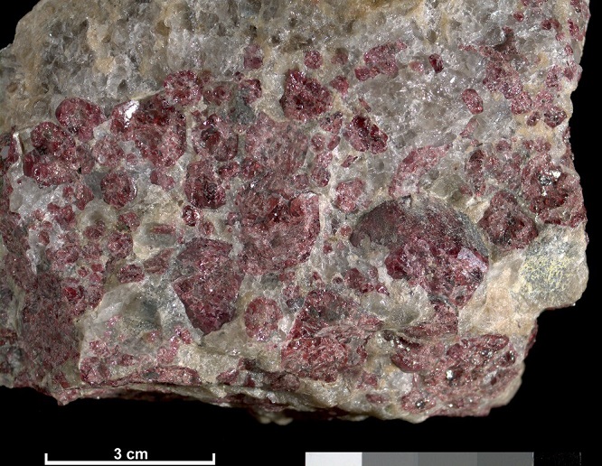 garnet(pegmatite).jpg