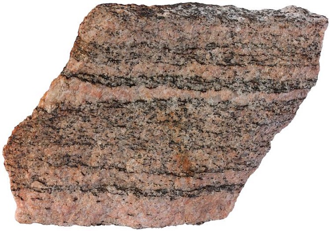 gneiss2020(1).jpg