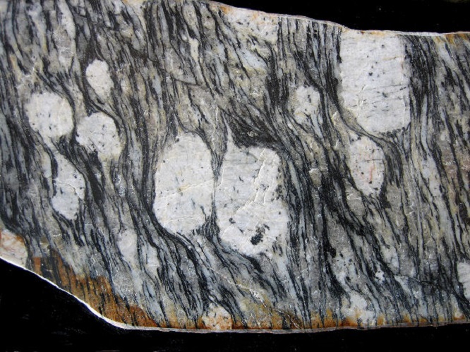 gneiss2020(2).jpg