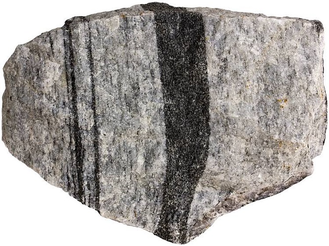 gneiss2020(3).jpg