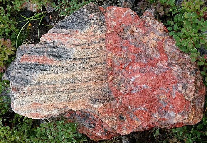 gneiss2020(4).jpg