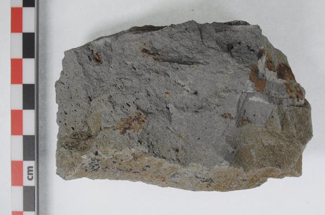 lamprophyre2020(13).jpg