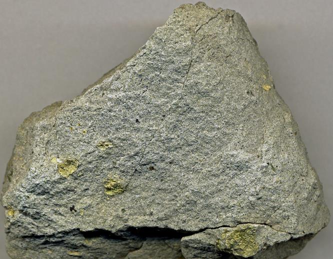 lamprophyre2020(17).jpg
